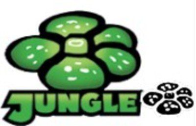 Pokemon Jungle