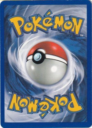 Pokemons loppefund nr. 213 - Bagside