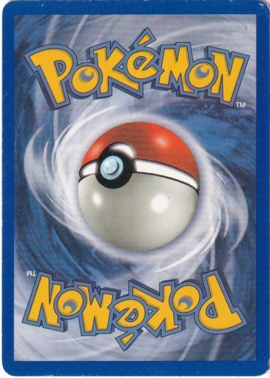 Pokemons loppefund nr. 256 - Bagside