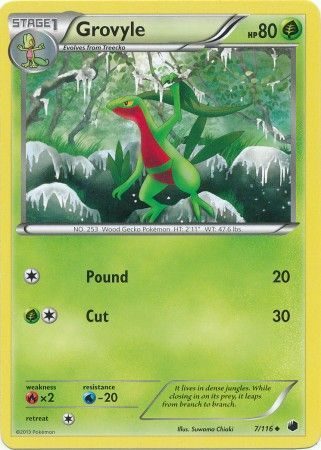 Grovyle - 7/116