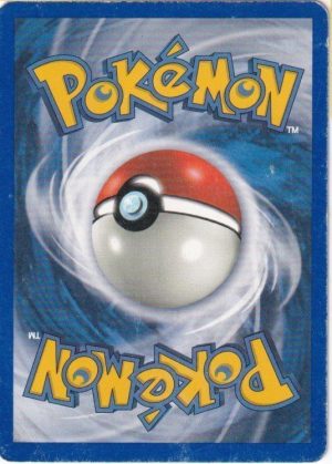 Pokemons loppefund nr. 373 - Bagside