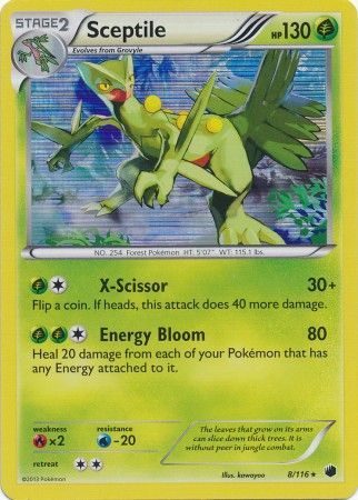 Sceptile - 8/116 (Holo)