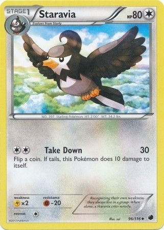 Staravia - 96/116