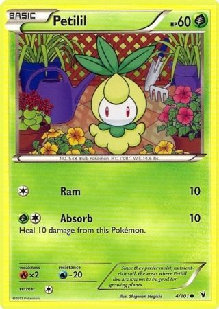 Petlil - 4/101