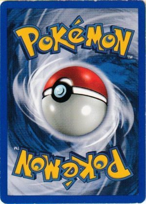Pokemons loppefund nr. 449 - Bagside