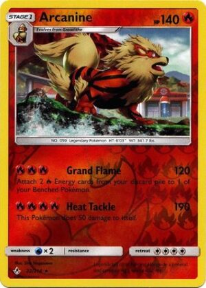 Arcanine - 22/214 - Reverse