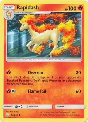 Rapidash  - 24/236