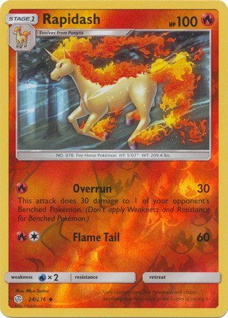 Rapidash  - 24/236 - Reverse