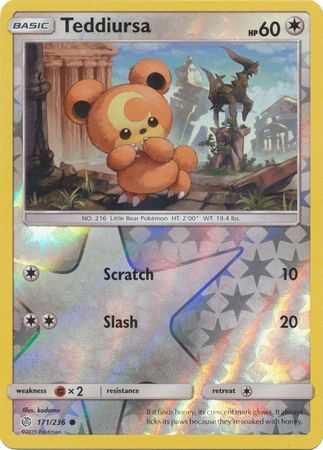 Teddiursa – 171/236 – Reverse