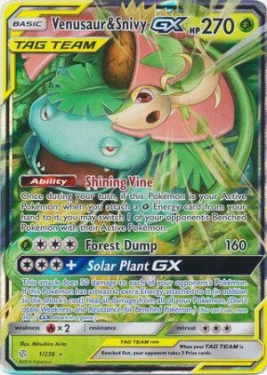 Venusaur & Snivy-GX  - 1/236