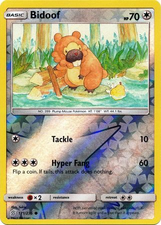 Bidoof - 171/236 - Reverse