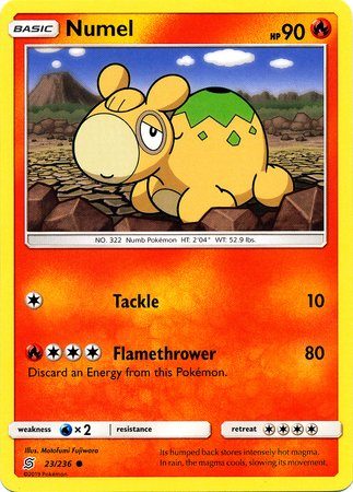 Numel – 23/236