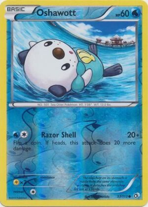 Oshawott - 37/113 - Reverse
