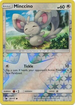 Minccino - 85/111 - Reverse