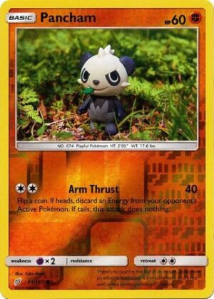 Pancham - 81/181 - Reverse