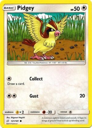 Pidgey - 121/181