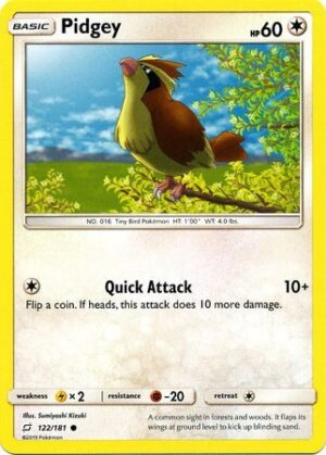 Pidgey - 122/181