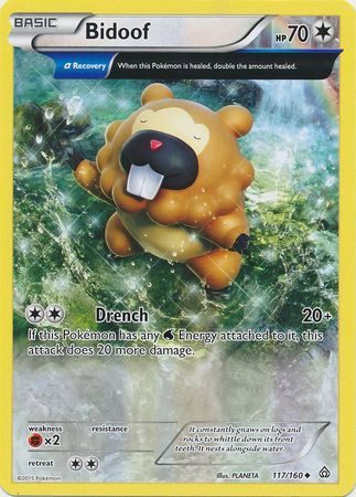 Bidoof - 117/160