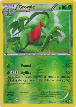 Grovyle - 7/160 - Reverse