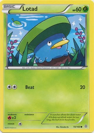 Lotad - 10/160