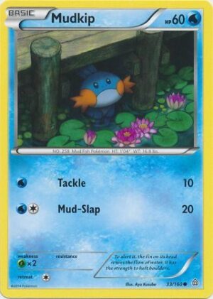 Mudkip - 33/160