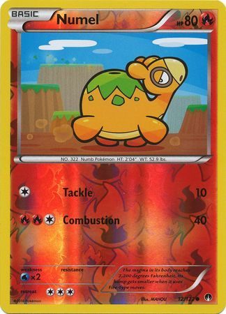 Numel - 12/122 - Reverse