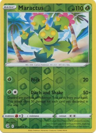 Maractus – 12/264 – Reverse