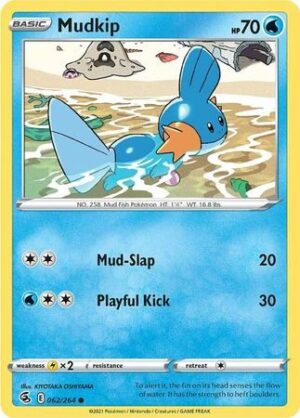 Mudkip - 62/264