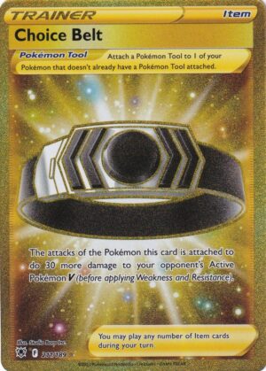 Choice Belt - 211/189