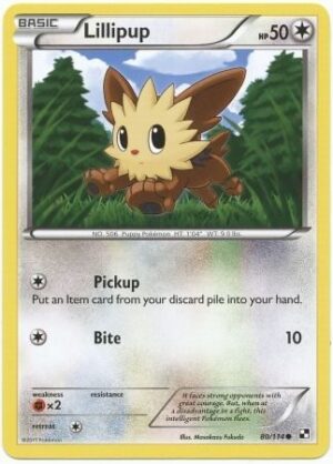 Lillipup - 80/114