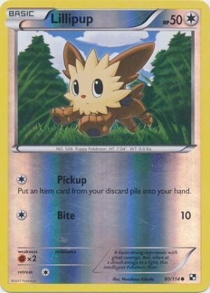 Lillipup - 80/114 - Reverse