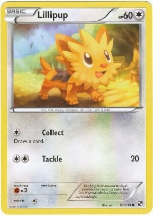 Lillipup - 81/114