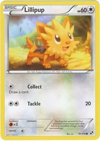 Lillipup - 81/114