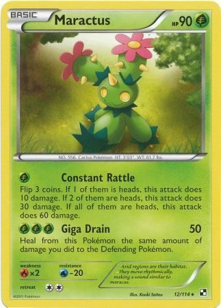 Maractus – 12/114
