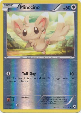 Minccino - 88/114 - Reverse