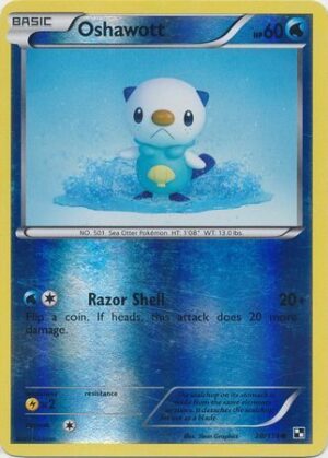 Oshawott - 28/114 - Reverse