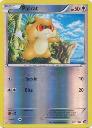 Patrat - 77/114 - Reverse