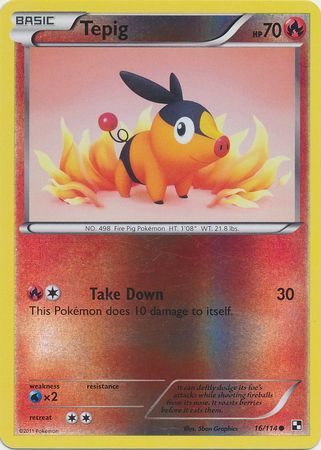 Tepig - 16/114 - Reverse