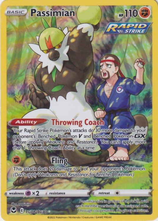 Passimian (Black Belt) - TG08/TG30