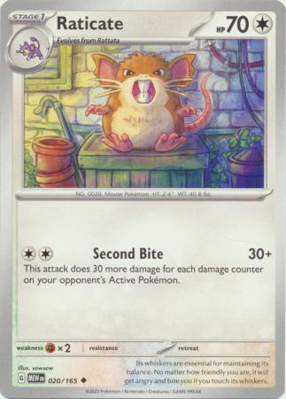 Raticate - 020/165