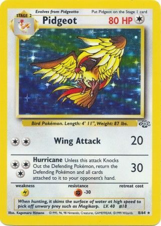 Pidgeot - 8/64 (Holo)
