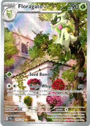 Floragato - 197/193