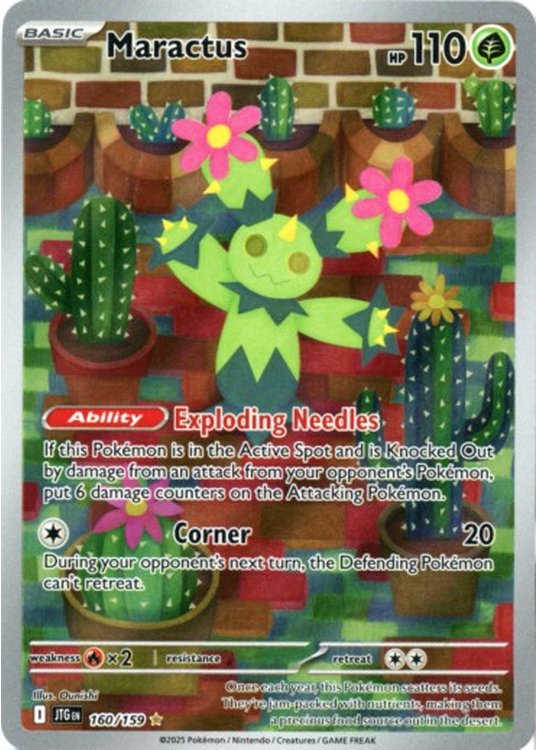 Maractus - 160/159