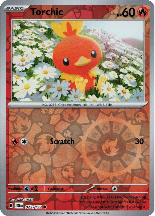 Torchic - 022/159 - Reverse