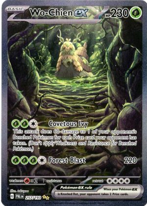 Wo-Chien ex - 257/193