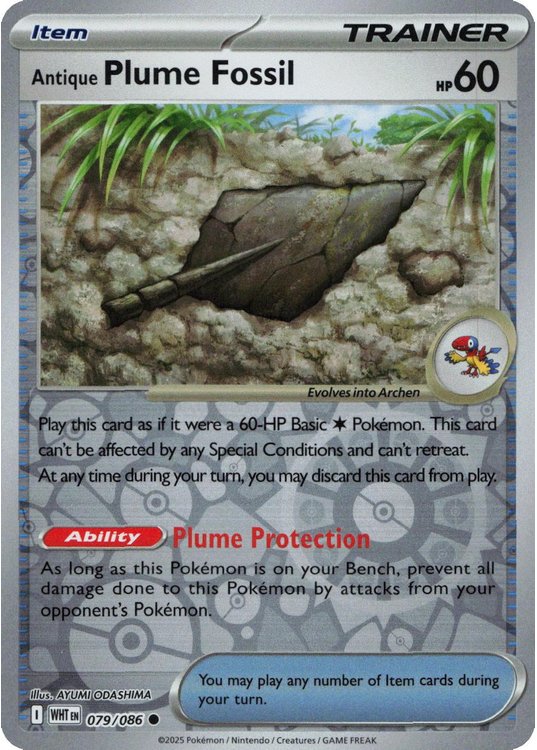 Antique Plume Fossil - 079/086 - Reverse
