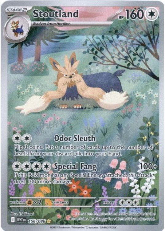 Stoutland - 156/086