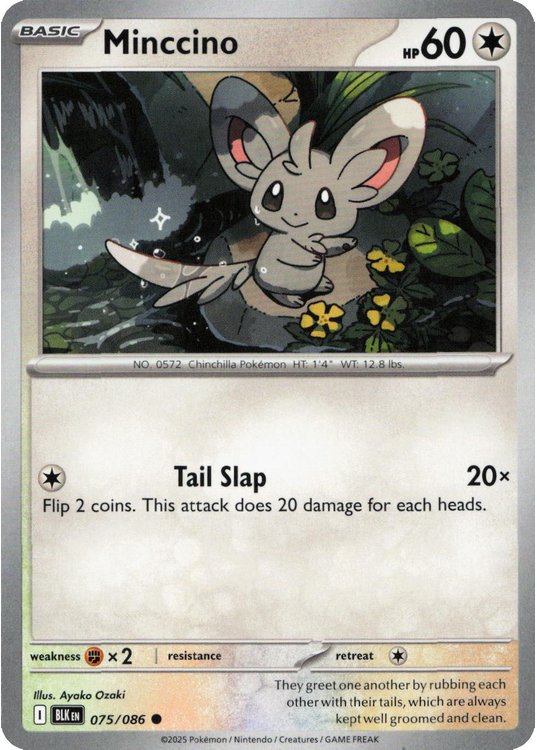 Minccino – 075/086