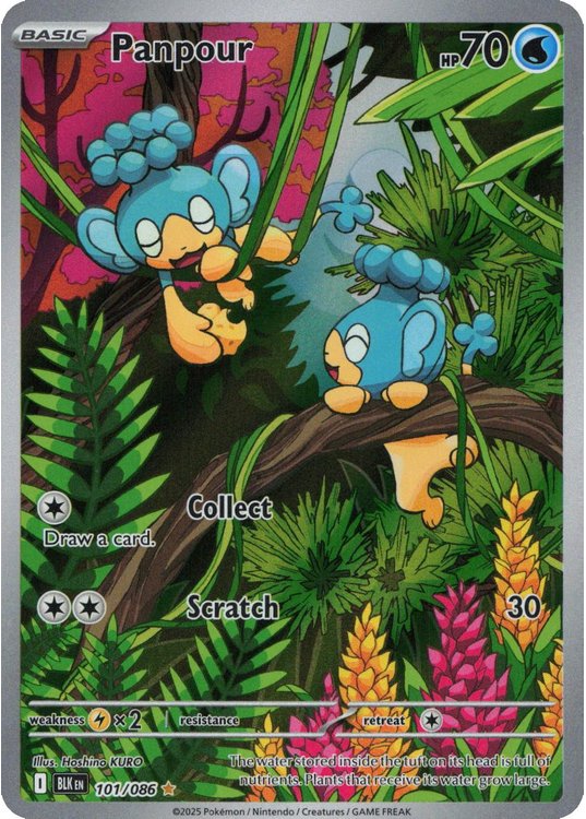 Panpour - 101/086