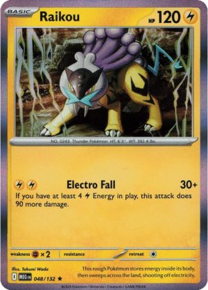 Raikou - 048/132 (Holo)